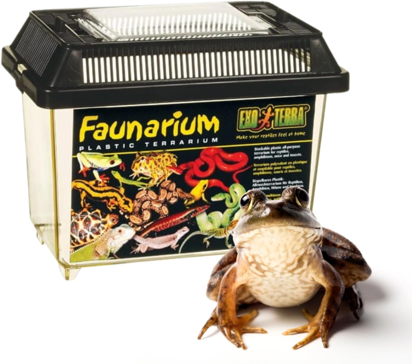 Exo Terra Faunarium, Plastic Reptile Terrarium, Small, PT2255