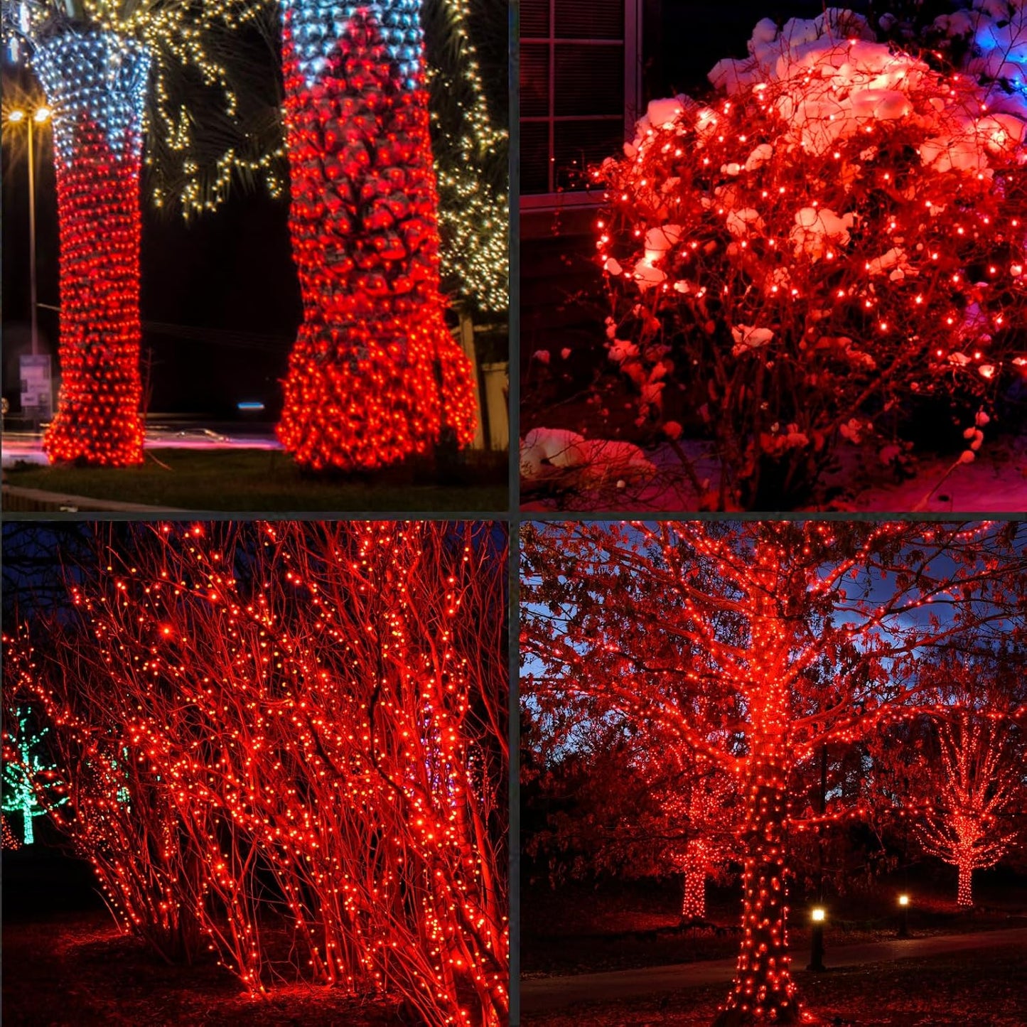 100Count (2pk of 50L) String Lights, LED Christmas Lights, 6" SPACING,Green Wire,RED