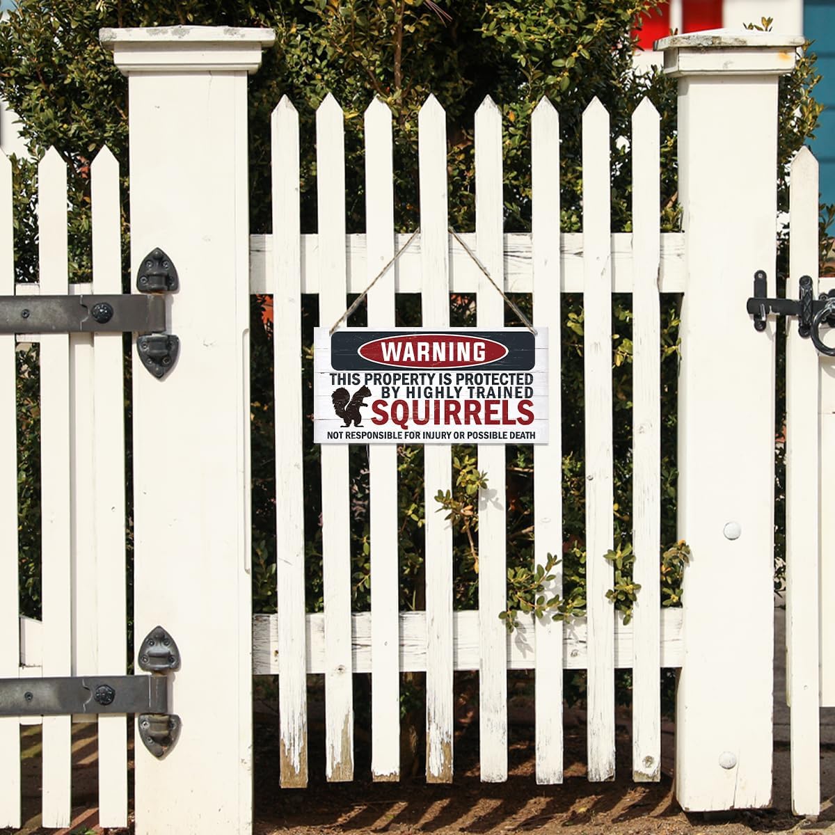 Warning Signs, The Property is Protected By Highly Trained Squirrels Sign, Decorative Wood Hanging Wood Plaque, Funny Warning Decor, Door Gate Hanger, Cute and Funny Garden Decor, Yard Decor