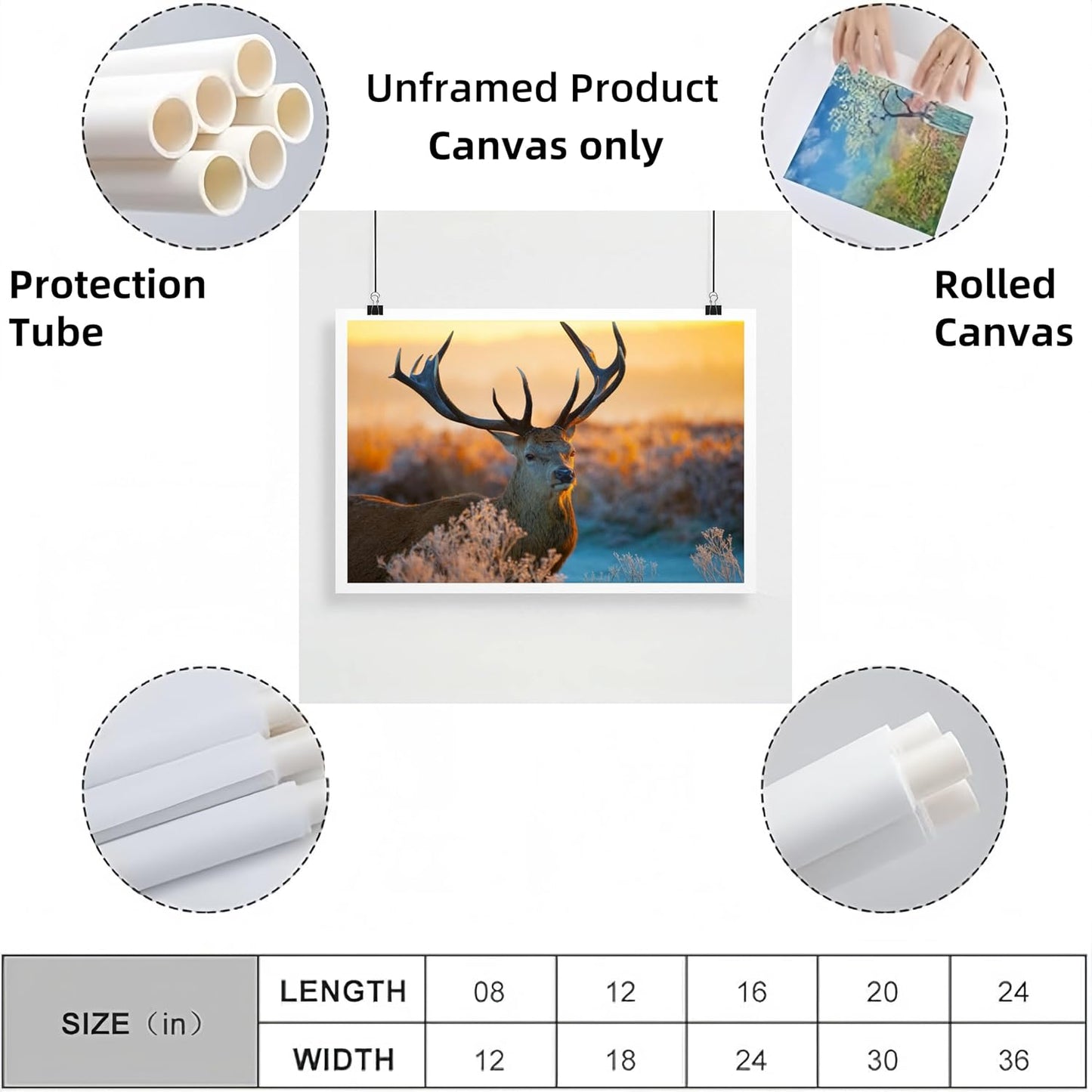 Personalized Custom Poster Prints: 8L x 12W Photo On Canvas Transform Your Photos into Stunning Unframed Wall Art Digitally Printed (8L x 12W, Unframed)