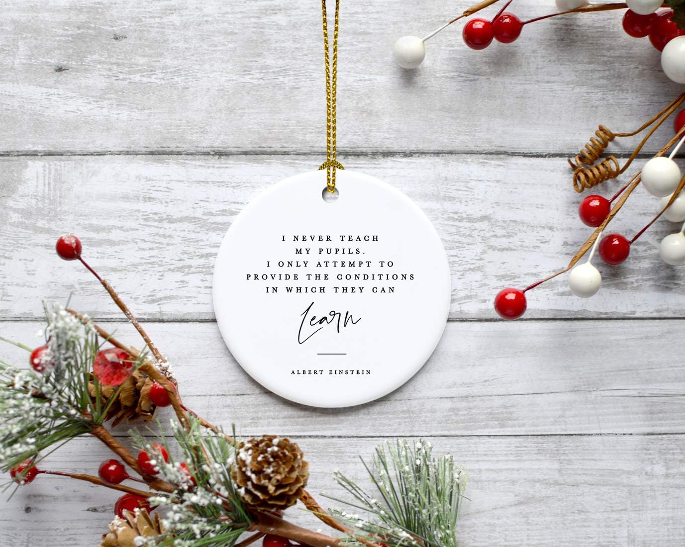 Andaz Press Round Ceramic Porcelain Christmas Tree Ornament for Teacher Thank You Gift, I Never My Pupils, I Only Attempt to Provide The Conditions in Which They can Learn, Albert Einstein, 1-Pack