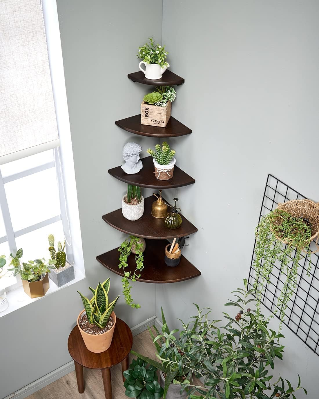 Corner Shelf, Solid Oak Wood Floating Corner Shelf Wall Mount Round End Floating Speaker with Wire Hole for Small Plant Photo for Bedroom Kitchen, Living Room Walnut