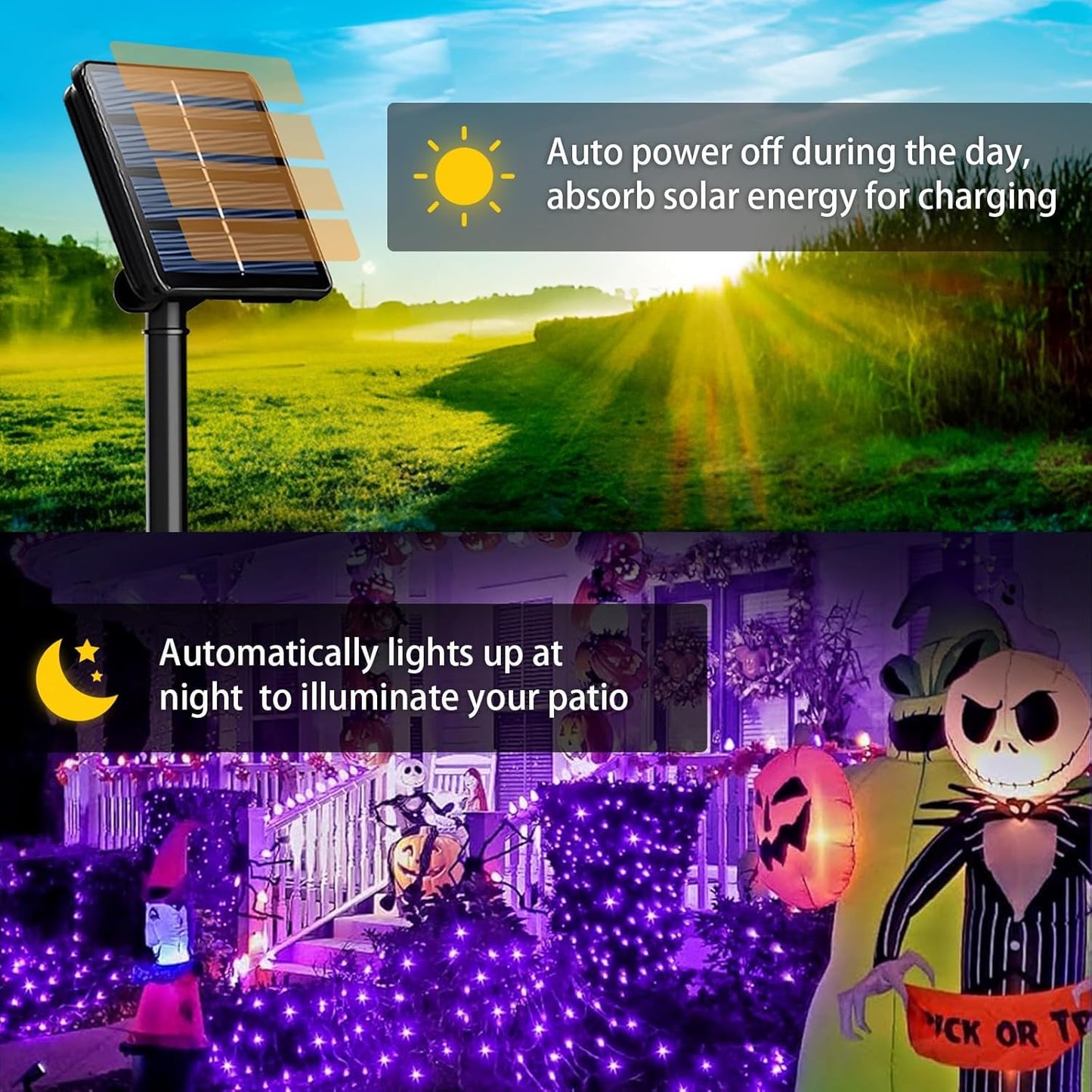 6 Pack Solar String Lights Outdoor, 600 LED Extra-Long 236 FT Solar Lights Outdoor with 8 Lighting Modes, IP65 Waterproof for Halloween, Garedn, Xmas, Balcony, Wedding, Party (Purple)