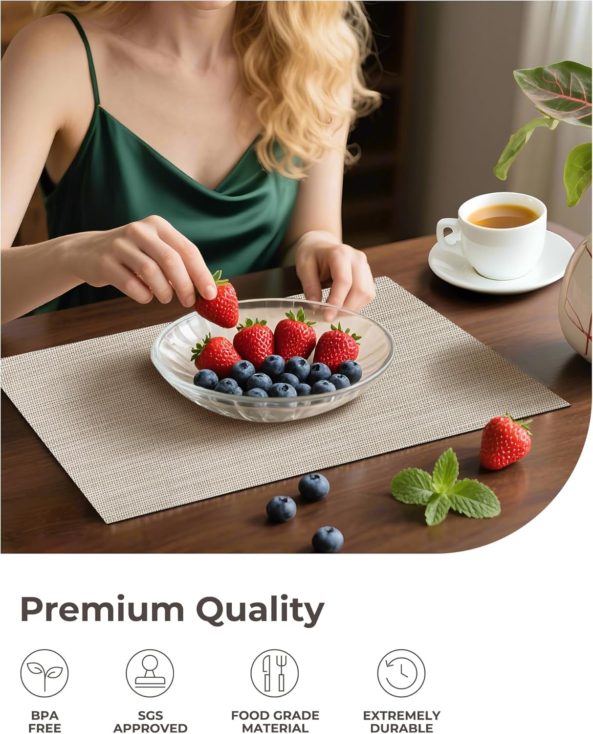 Leetaltree Beige White Placemats Set of 12 - Heat Resistant Non-Slip Place mats for Dining Table, Washable Durable PVC Vinyl Woven Table Mats（Beige White, 12）