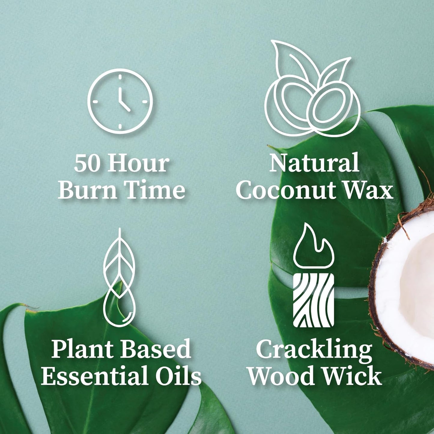Hemlock Park Wood Wick Candle Handcrafted with Natural Coconut Wax and Essential Oils (Amber & Gold 7.2 oz, Sandalwood)