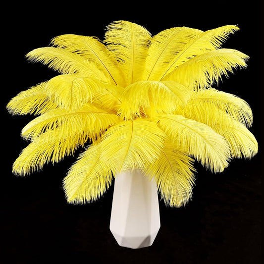 THARAHT Yellow Ostrich Feathers 12pcs Natural Bulk 10-12Inch 25cm-30cm for Crafts Wedding Party Centerpieces Halloween and Home Decoration Feathers